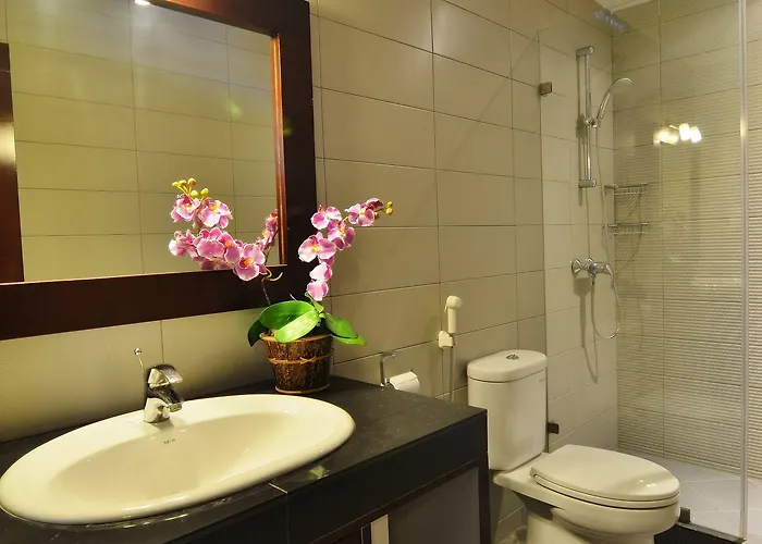 Hotel Rosani 3*
